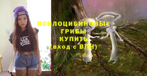 МДПВ Михайловка