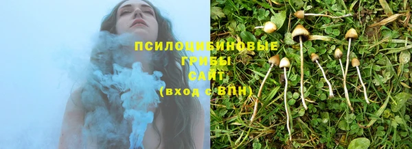амф Михайловск