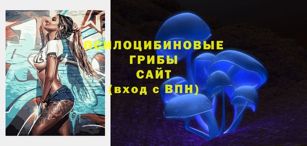 МДПВ Михайловка
