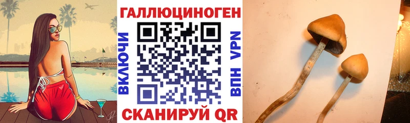 Псилоцибиновые грибы MAGIC MUSHROOMS  Туапсе 